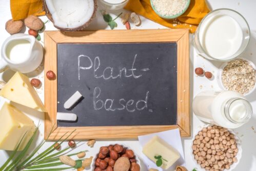 Vegetarische kaas